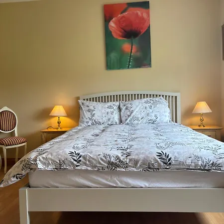 Lock 5 Minute Drive From Tatil Evi Carrick on Shannon