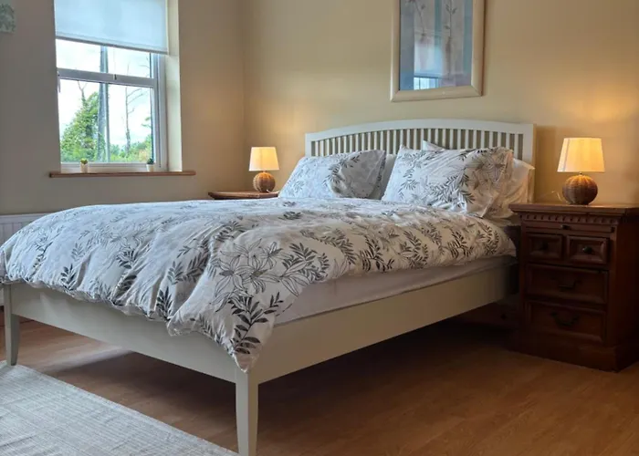 Lock * Carrick on Shannon